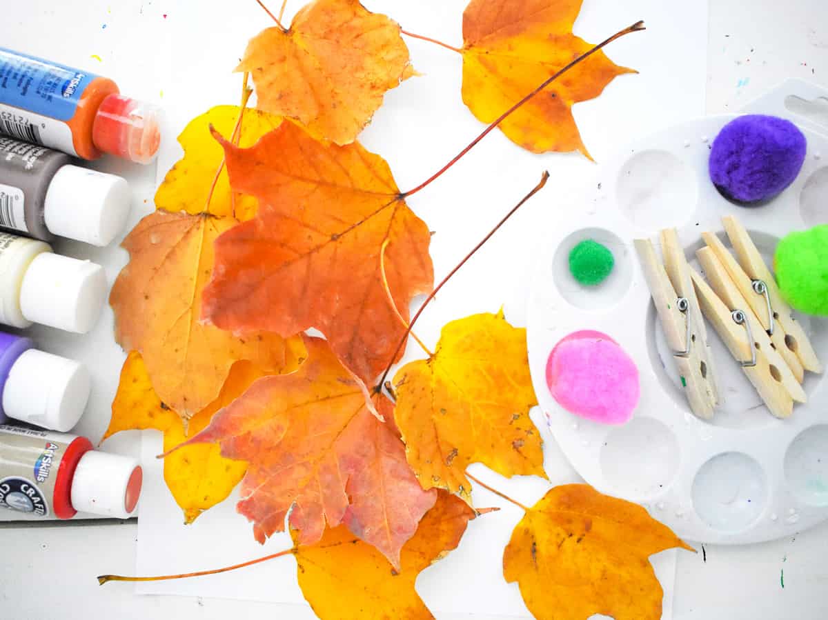 Image of supplies to do fall leaf pom pom art