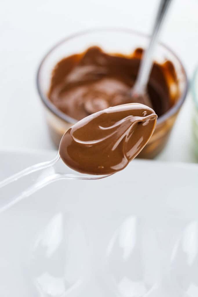 Spoon dipped in chocolate