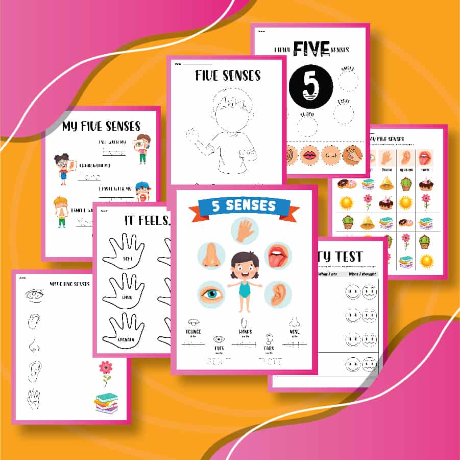 A collage of printable activities to learn about 5 senses