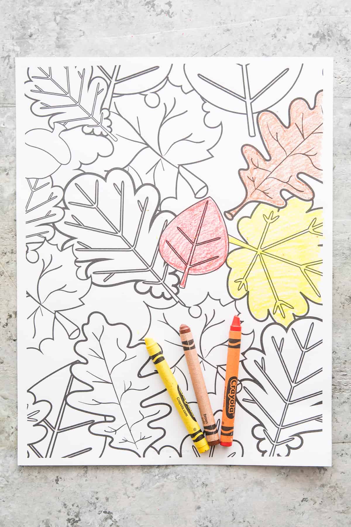 Leaf Collage Coloring Page Printout with crayons