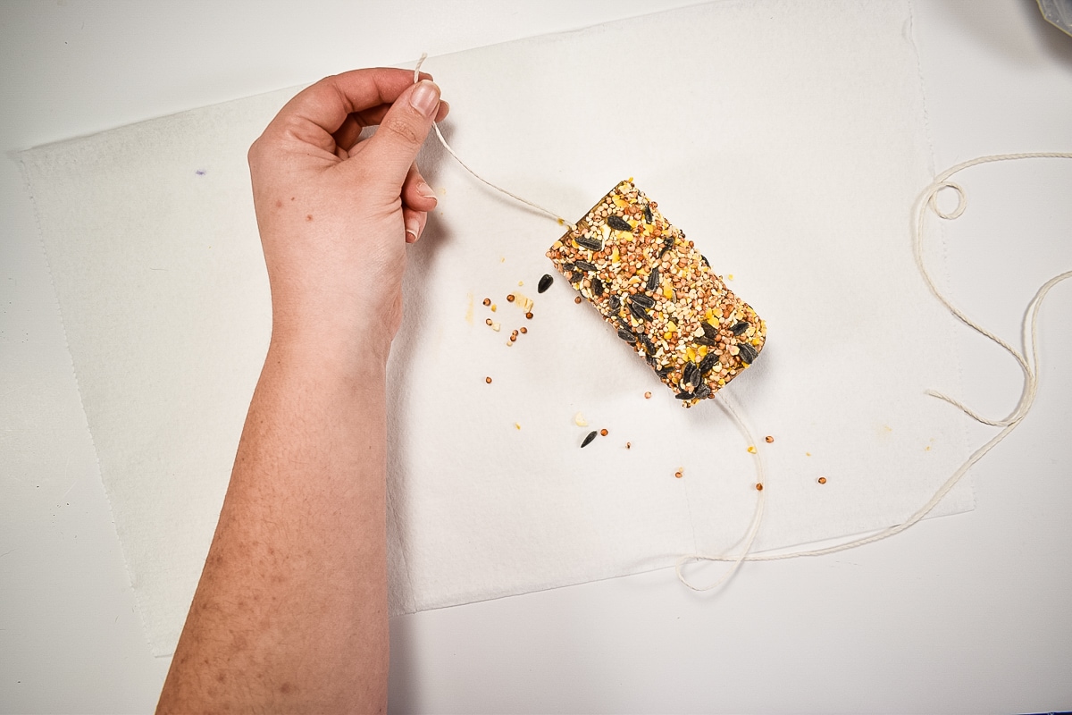 Toilet Paper Roll Bird Feeder 15 Minute Craft Kids Activity Zone