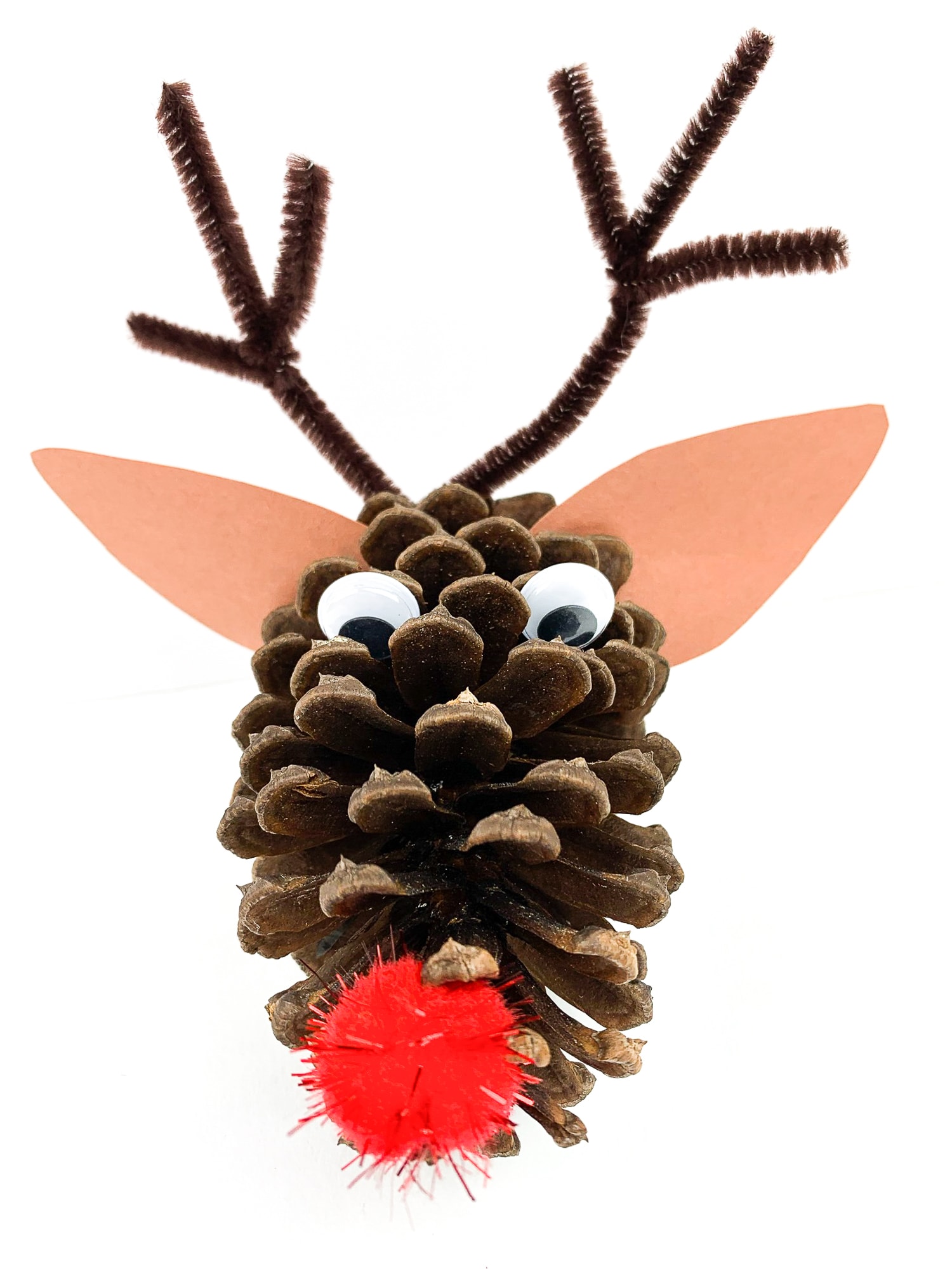 Easy Rudolph Pinecone Craft on white background