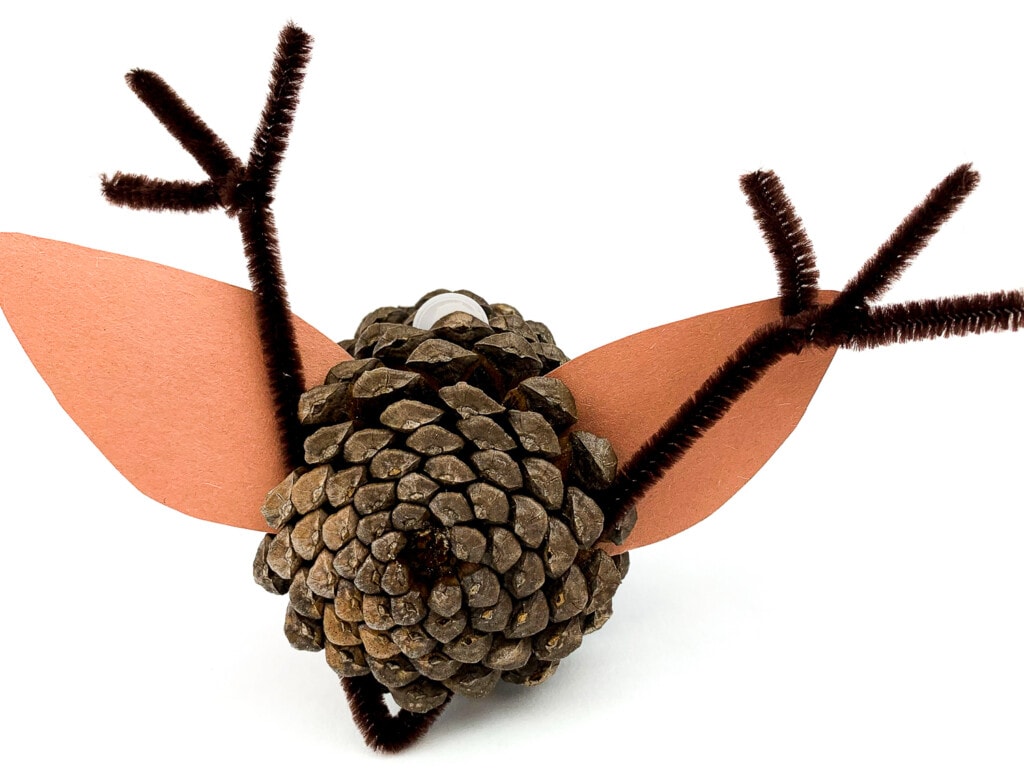 Back side of pinecone making rudolph