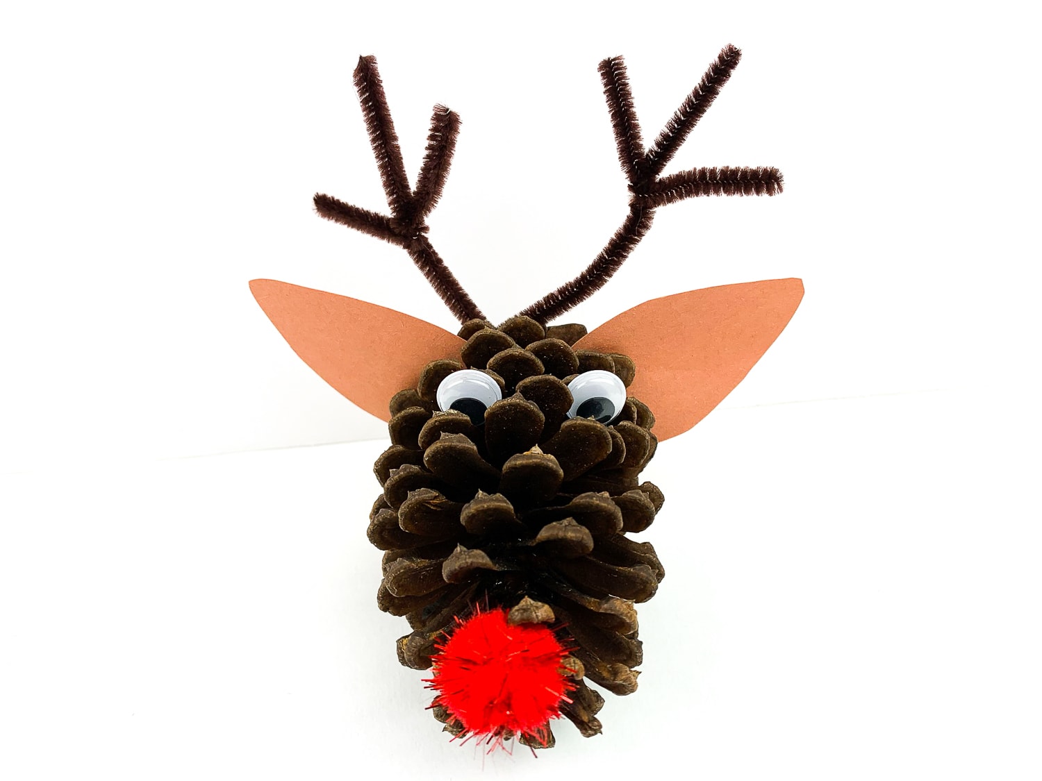 Rudolph Pinecone Craft for kids