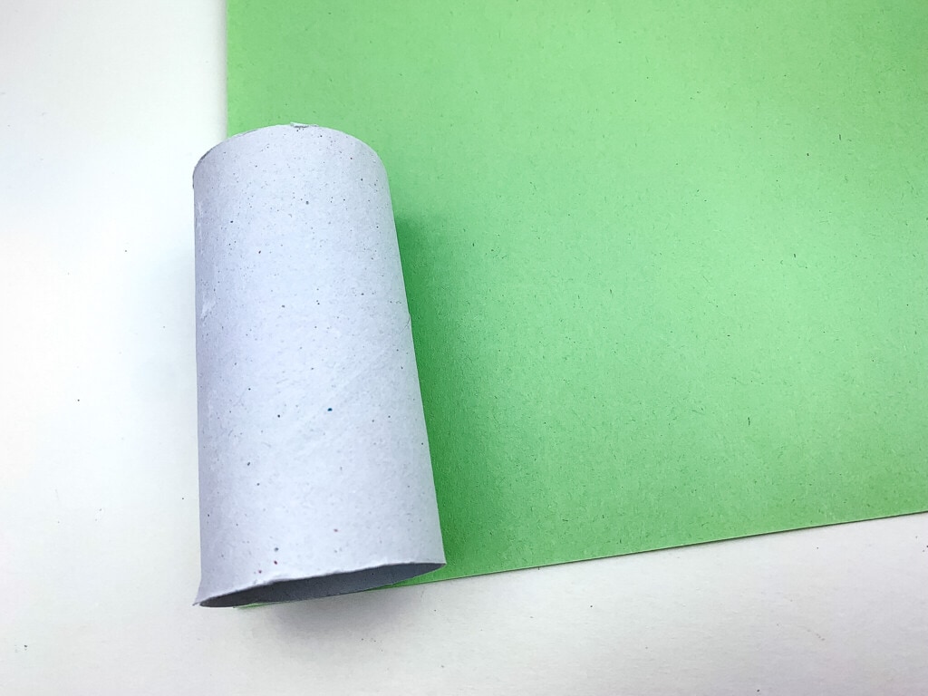 Toilet Paper Roll on green paper