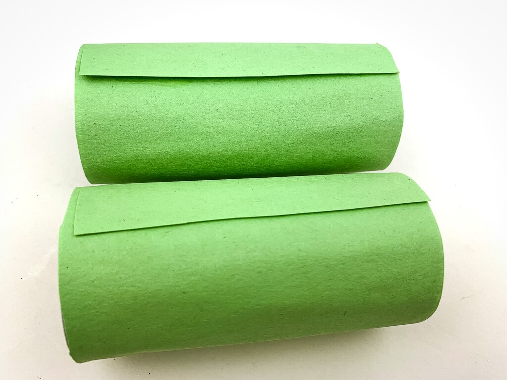 Toilet paper rolls covered in green paper