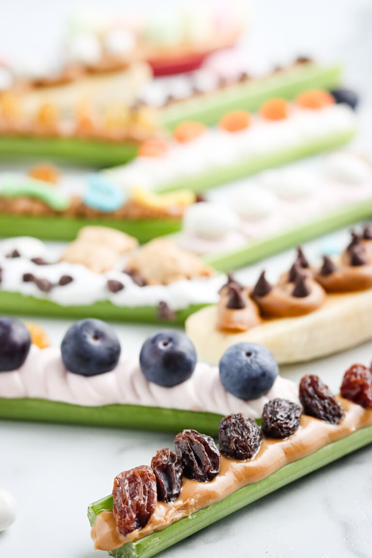 different verisions of ants on a log