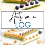 Ants on a Log Pin Image