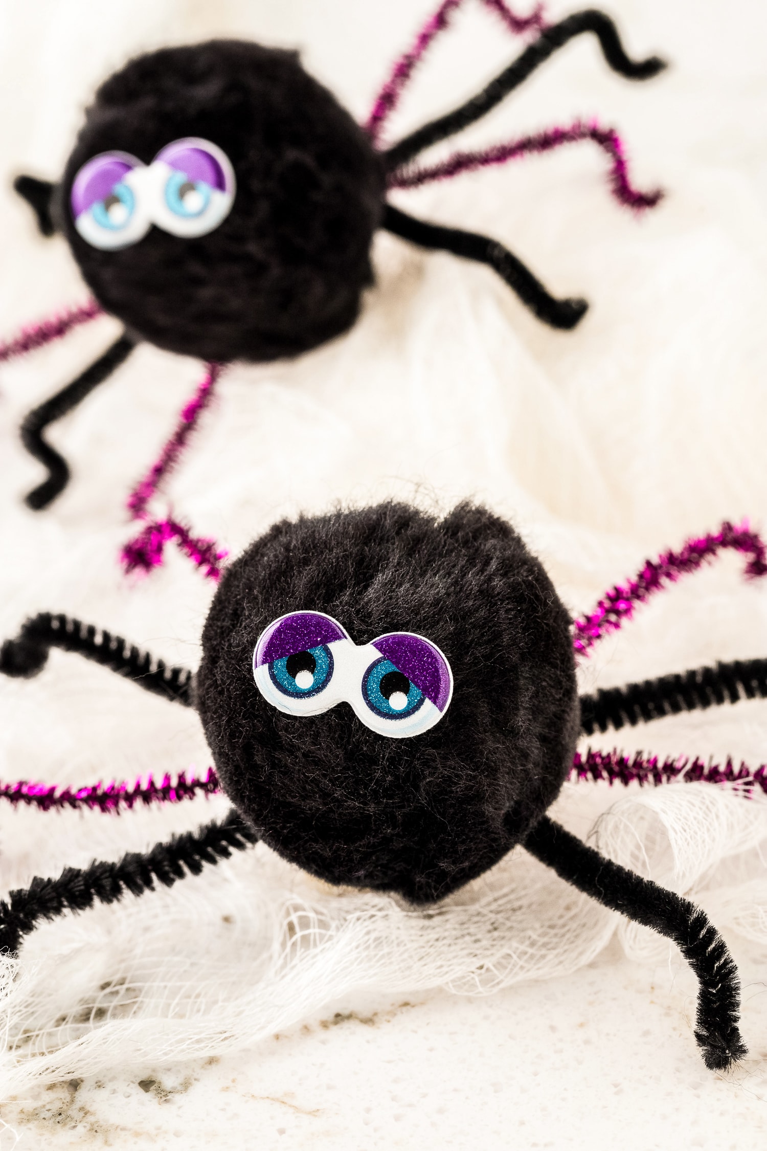 Closeup of two spider crafts