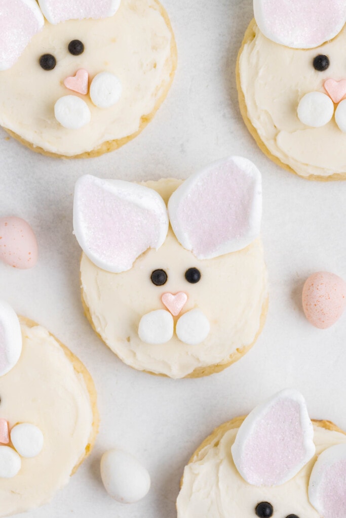Close up Photo of a Completed Easter Bunny Cookie