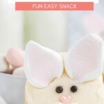 Bunny Face Cookies Pinterest Image