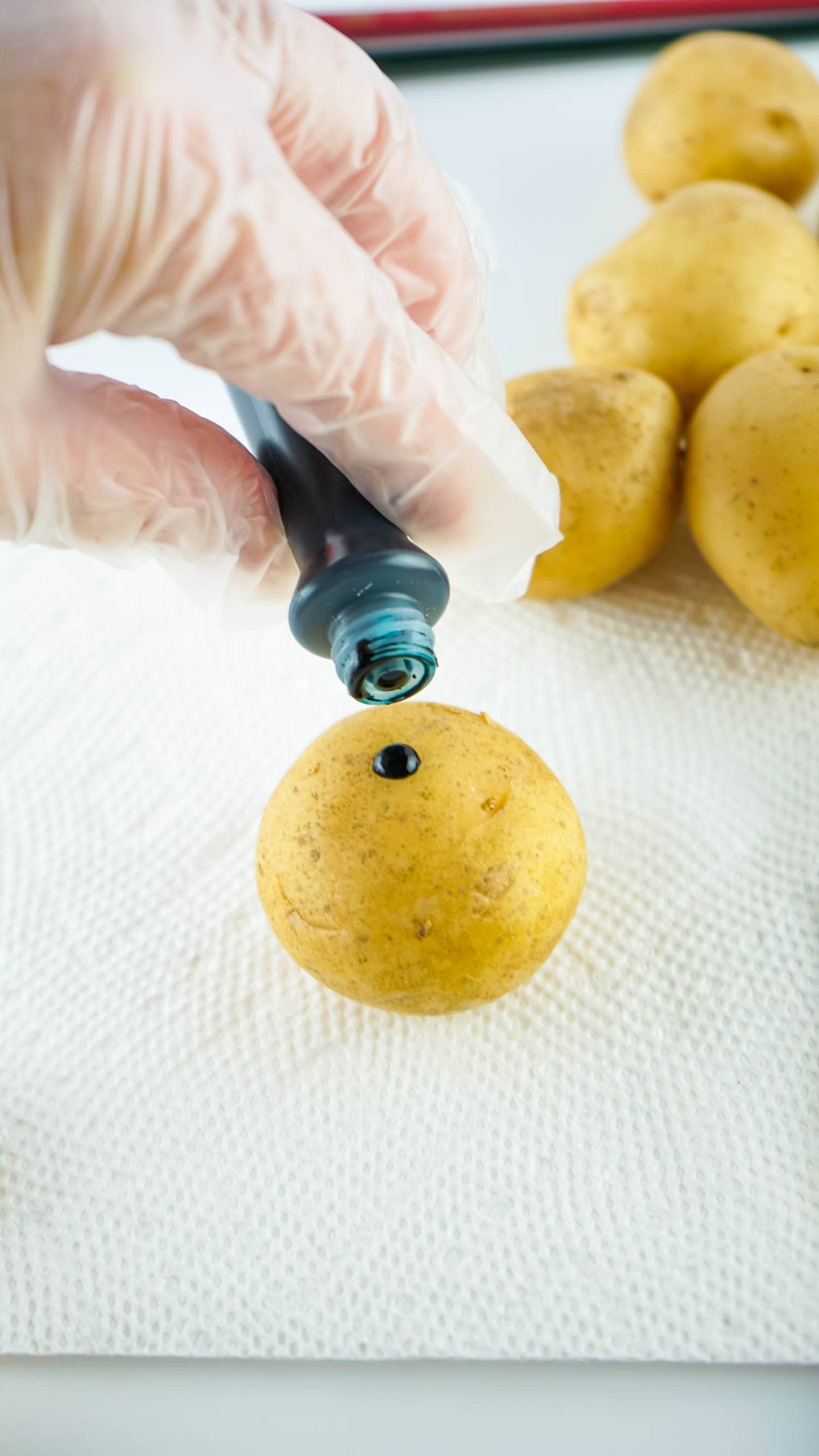 a Drop of Food Coloring on a Potato