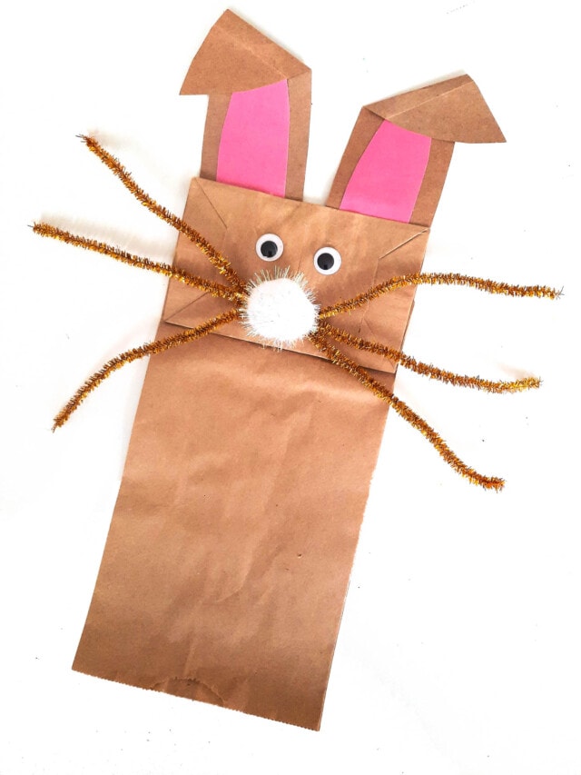 Competed Paper Bag Bunny