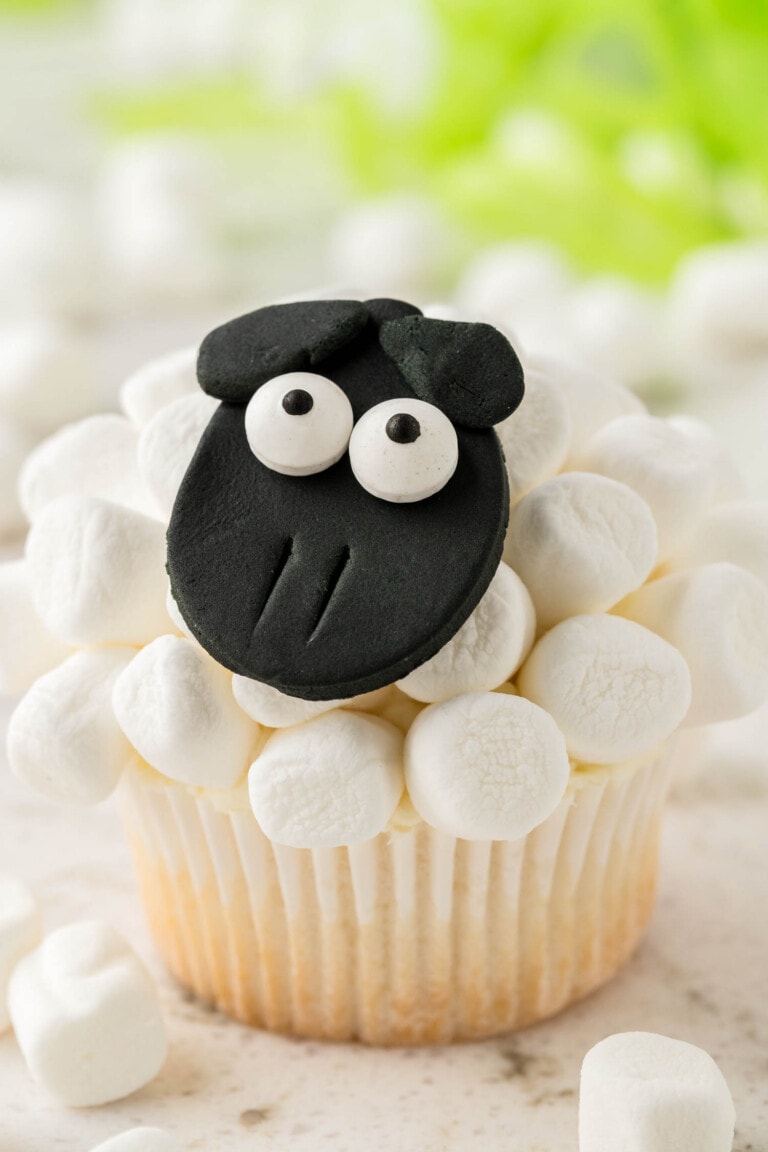 Photo Showing the Sheep as a Cupcake