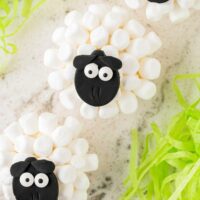 Sheep Cupcakes Square Image