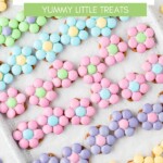Spring Flower Pretzel Bites Pinterest Image