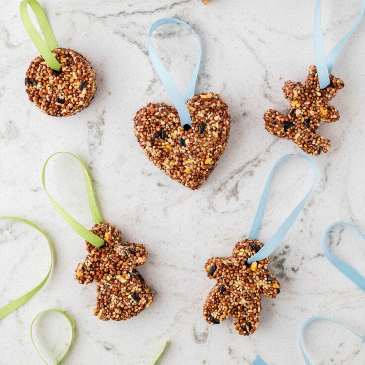 DIY Bird Feeder Craft Square Image