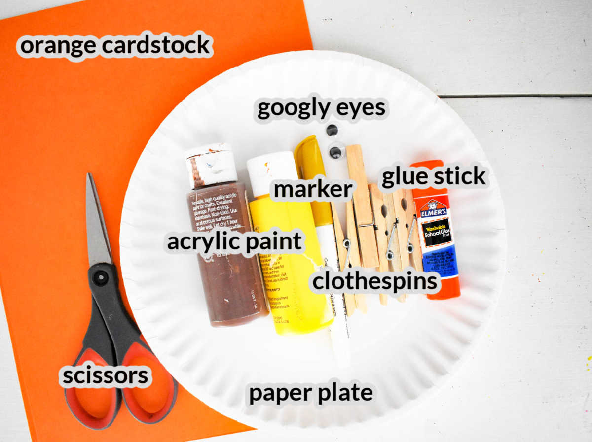 Overhead Image of the Paper Plate Chick Craft Supplies