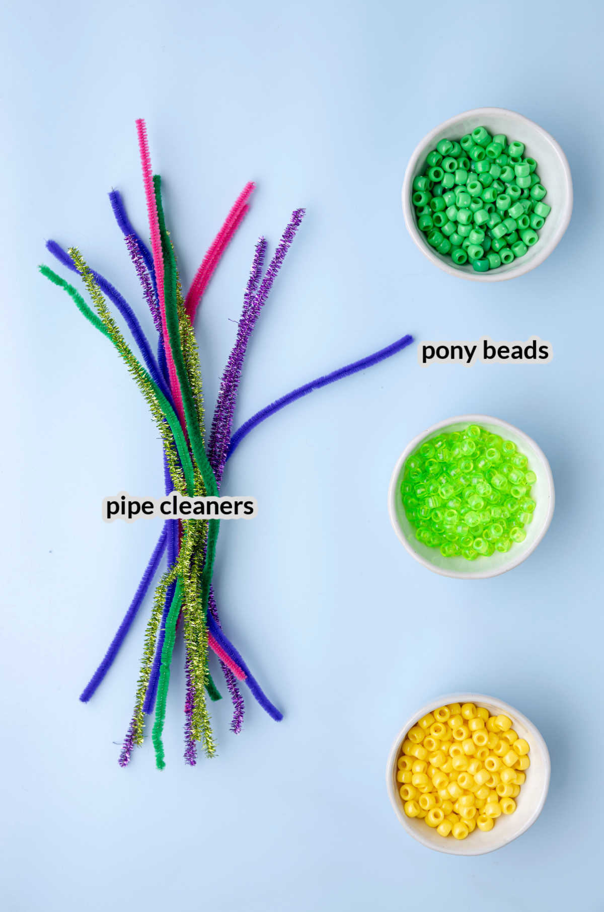 Overhead Image of the Pipe Cleaner Flowers Supplies