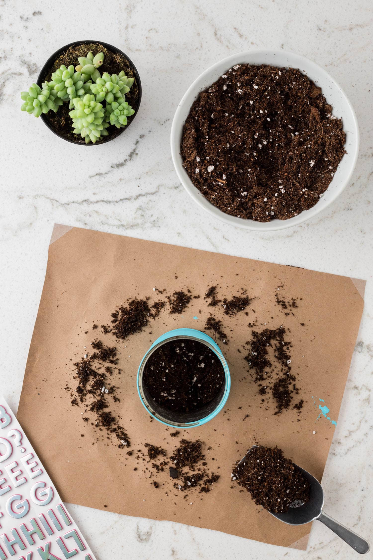 Fill the Tin can With Dirt.