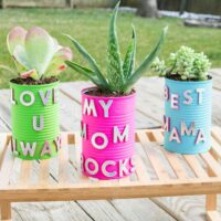 Tin Can Planter Craft Square Image