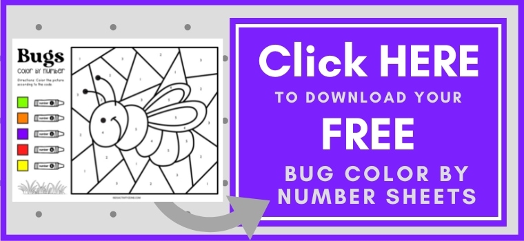 Bug Color by Number Printable Button