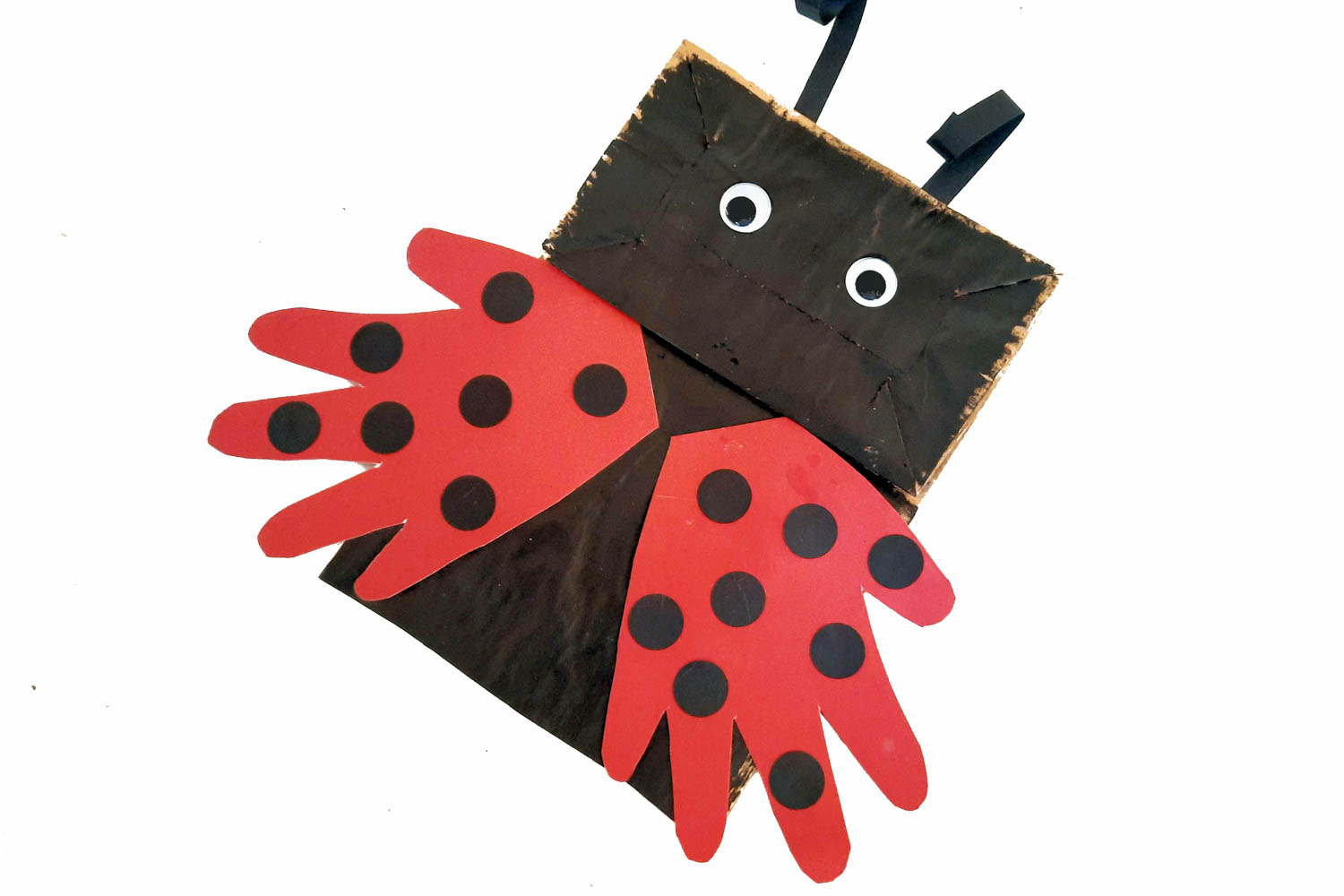 Photo of one Ladybug Craft