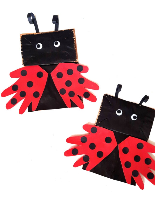 Two Completed Crafts together.
