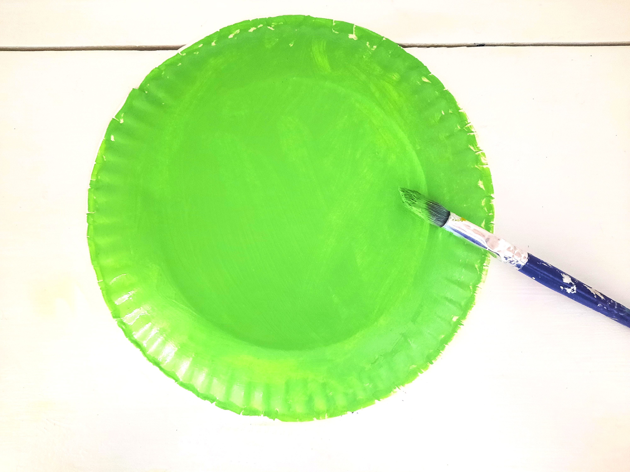 Paint the back of a paper Plate Green