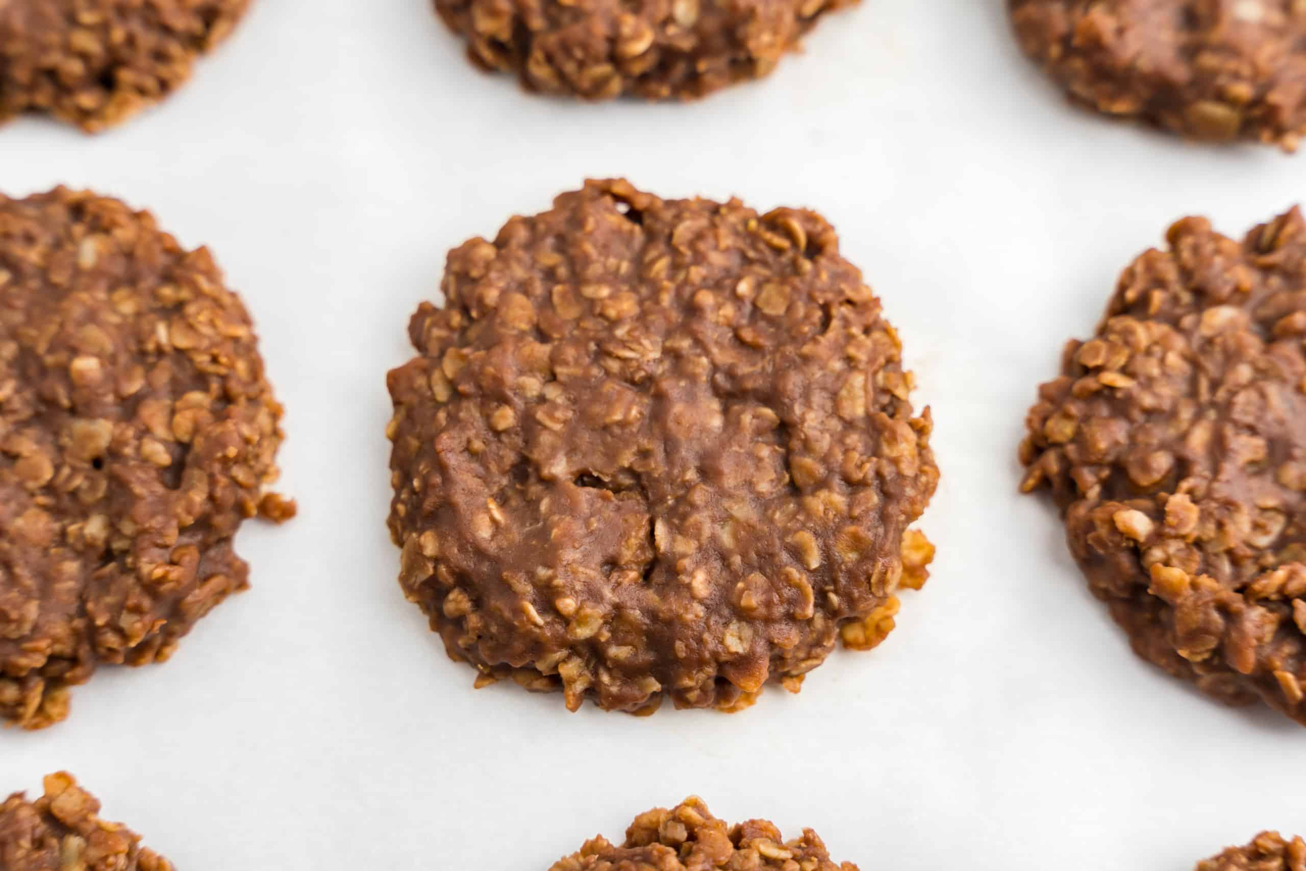 Close up Photo of a No Bake Oatmeal Cookie