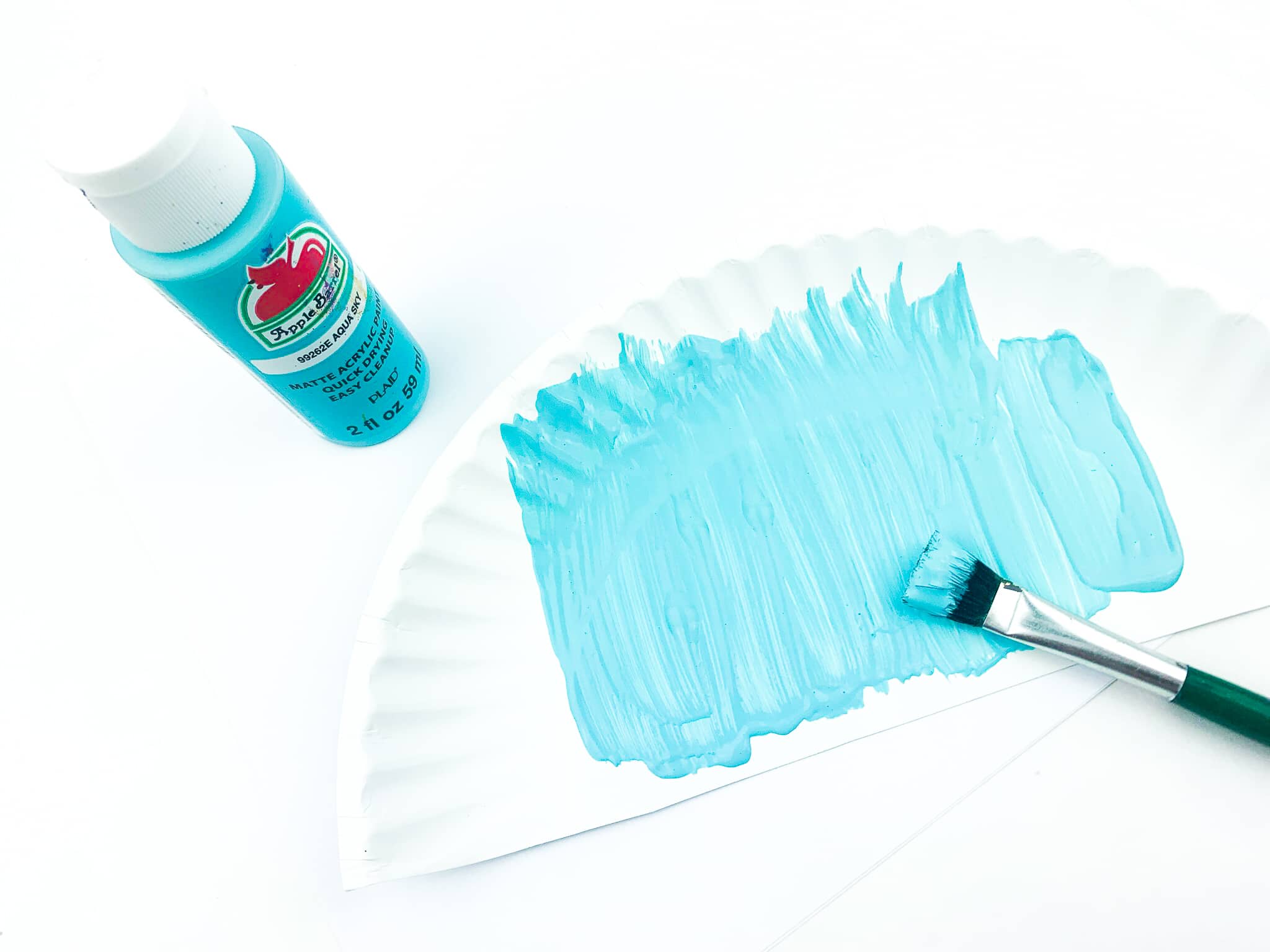 Paint one half of the paper plate Blue.