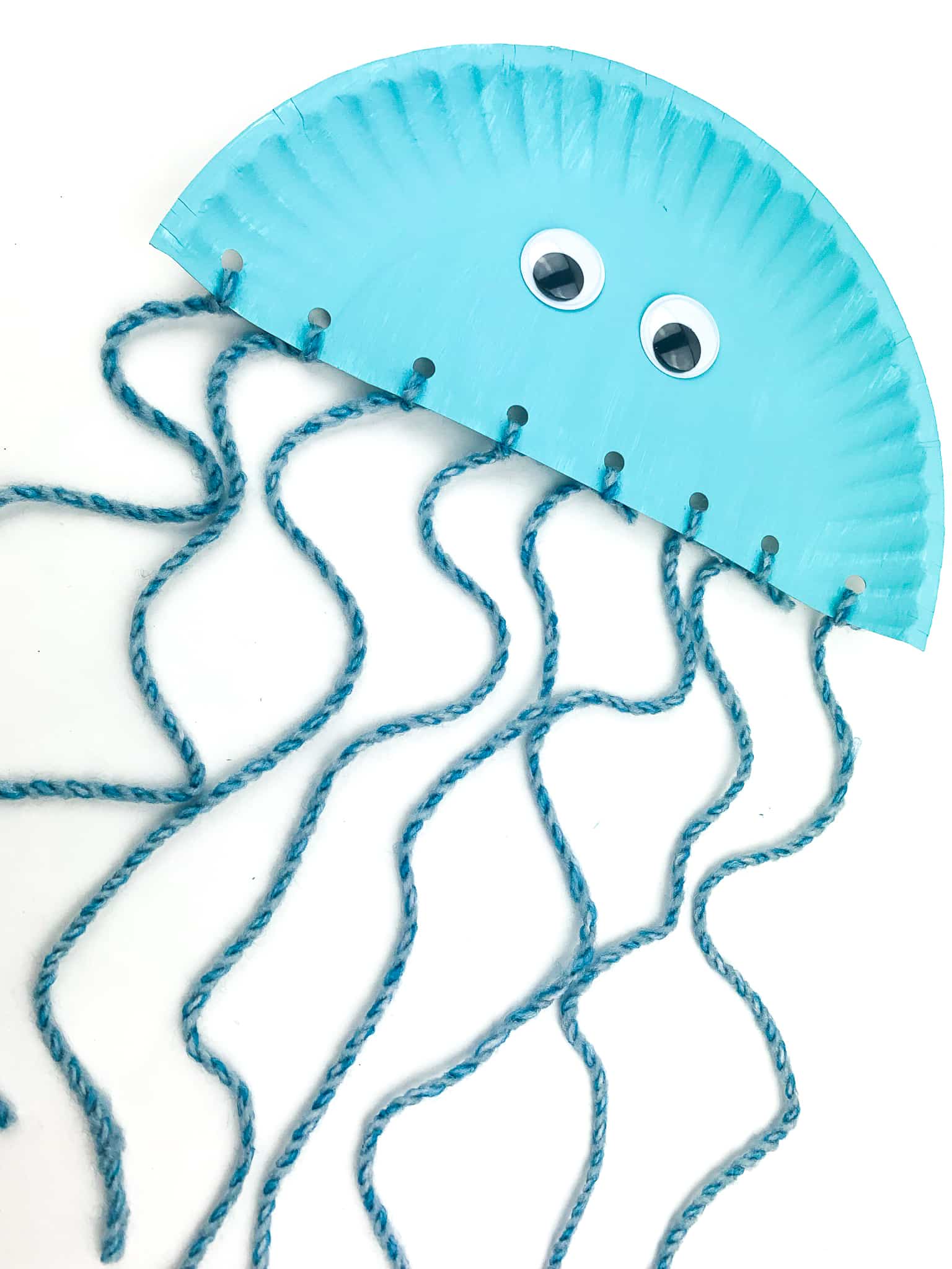 Once all the String is Tied to the paper plate and the two Googly Eyes to the Blue Side of the Paper Plate.