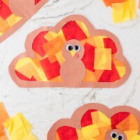 Turkey Suncatchers Square Image