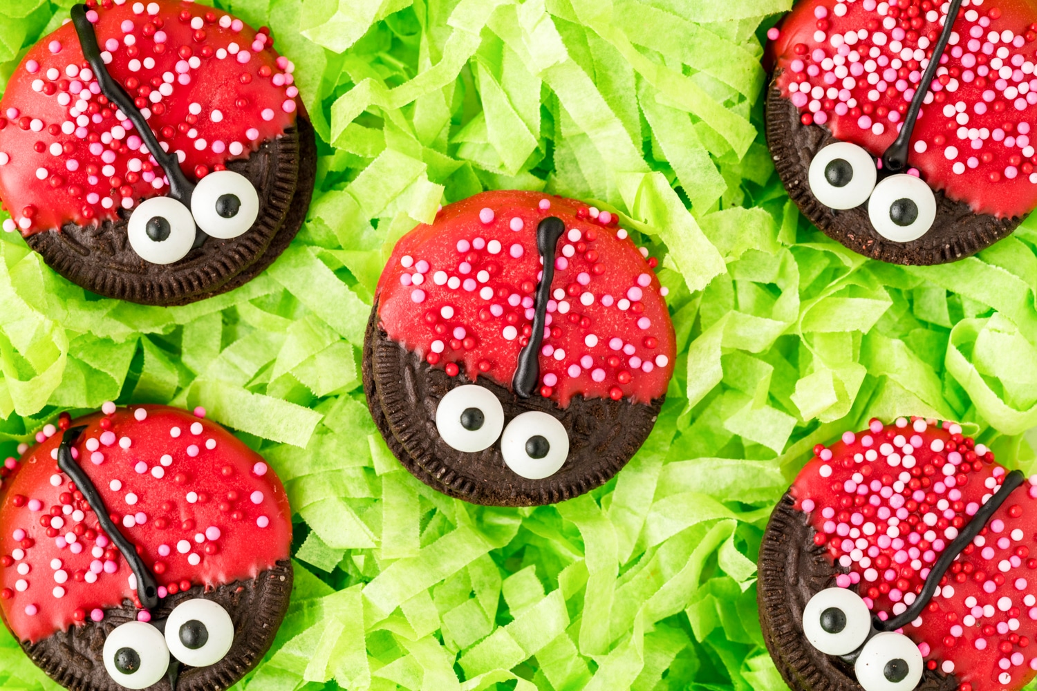Ladybug Cookies arranged on green crinkle paper for a festive tasty treat