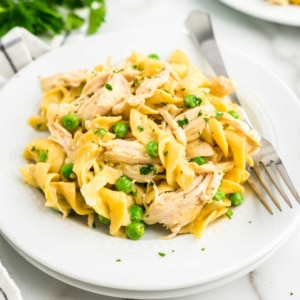 Chicken and Nooldes in bowl with fork