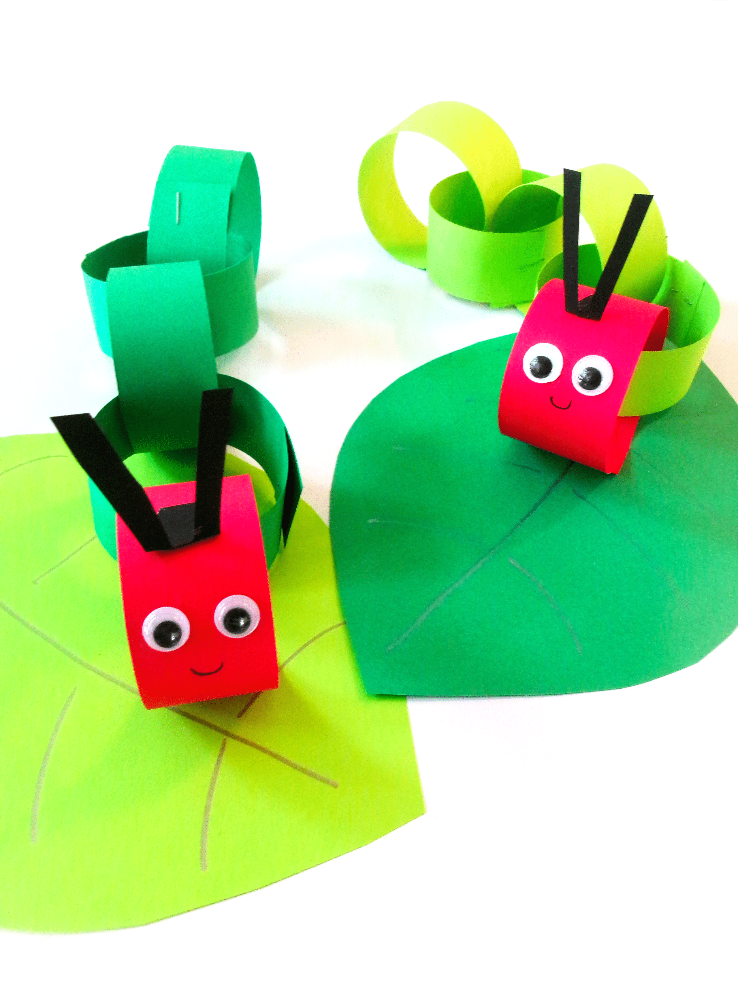 Two completed caterpillars on top of green leaves.