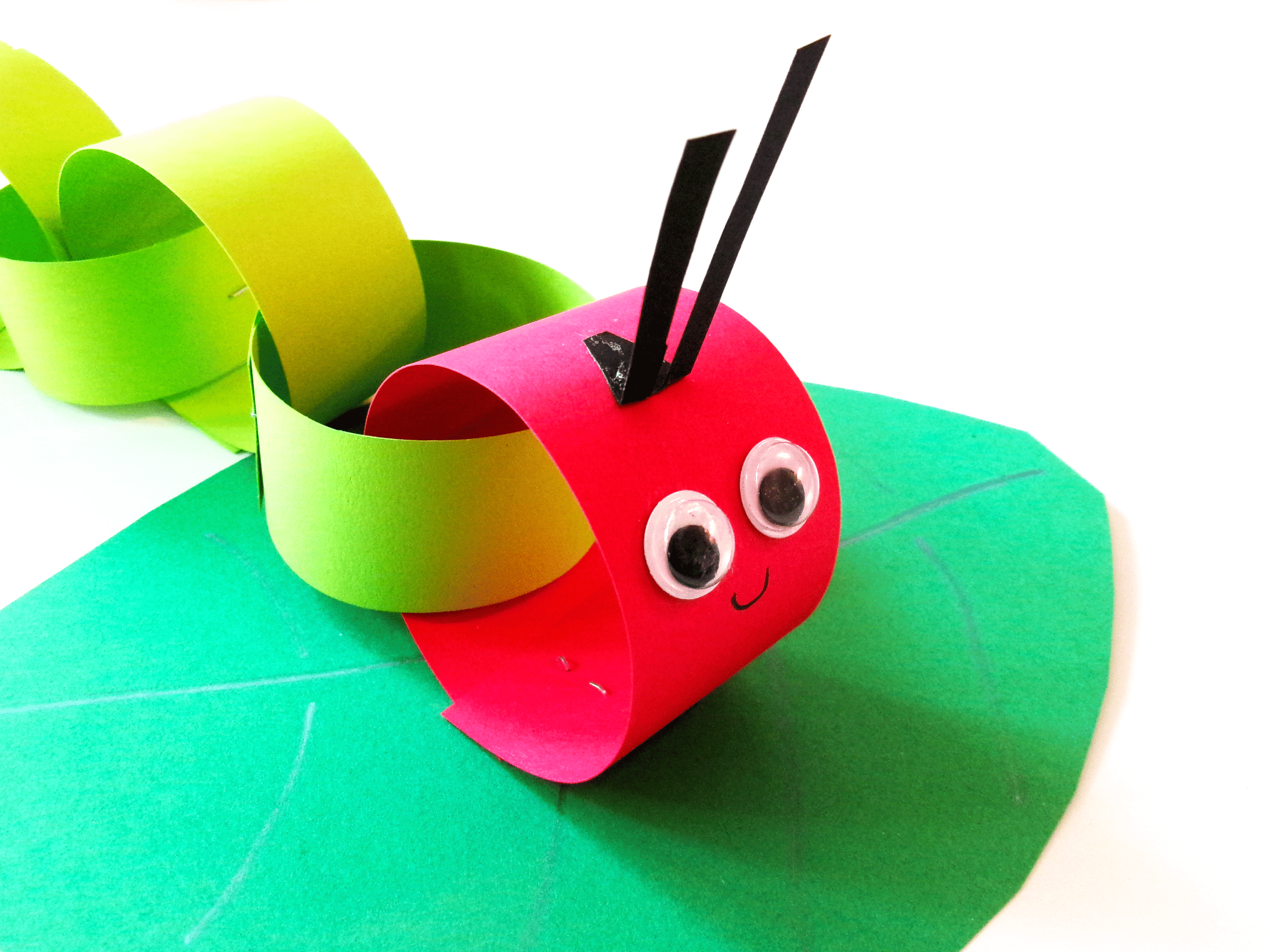 Close up of the face of the green caterpillar.