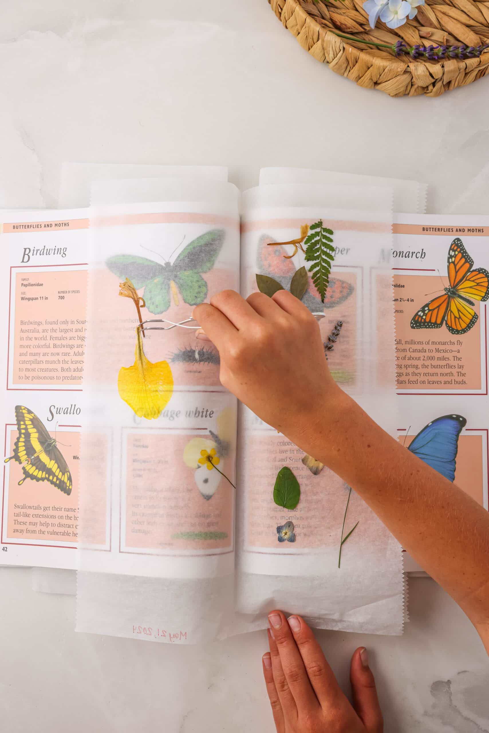 After the two week are up, open up the book and start picking up the flowers with a tweezer to put on the bookmark.