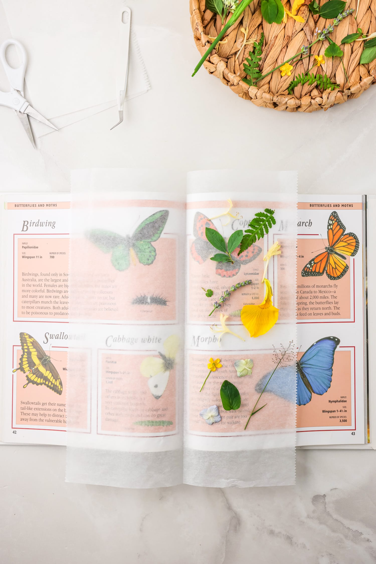 Pick flowers and lay flat on parchment paper in a book and close it.