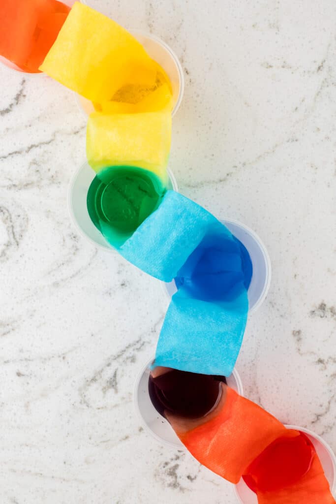 Overhead view of a straight line of cups vs a circle.