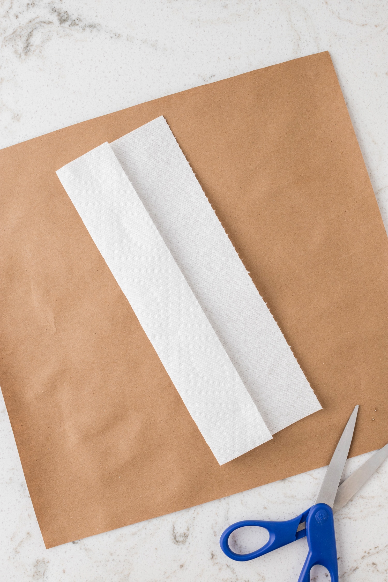 Fold the paper towels length wise. You'll need half a paper towel for each pair of cups.