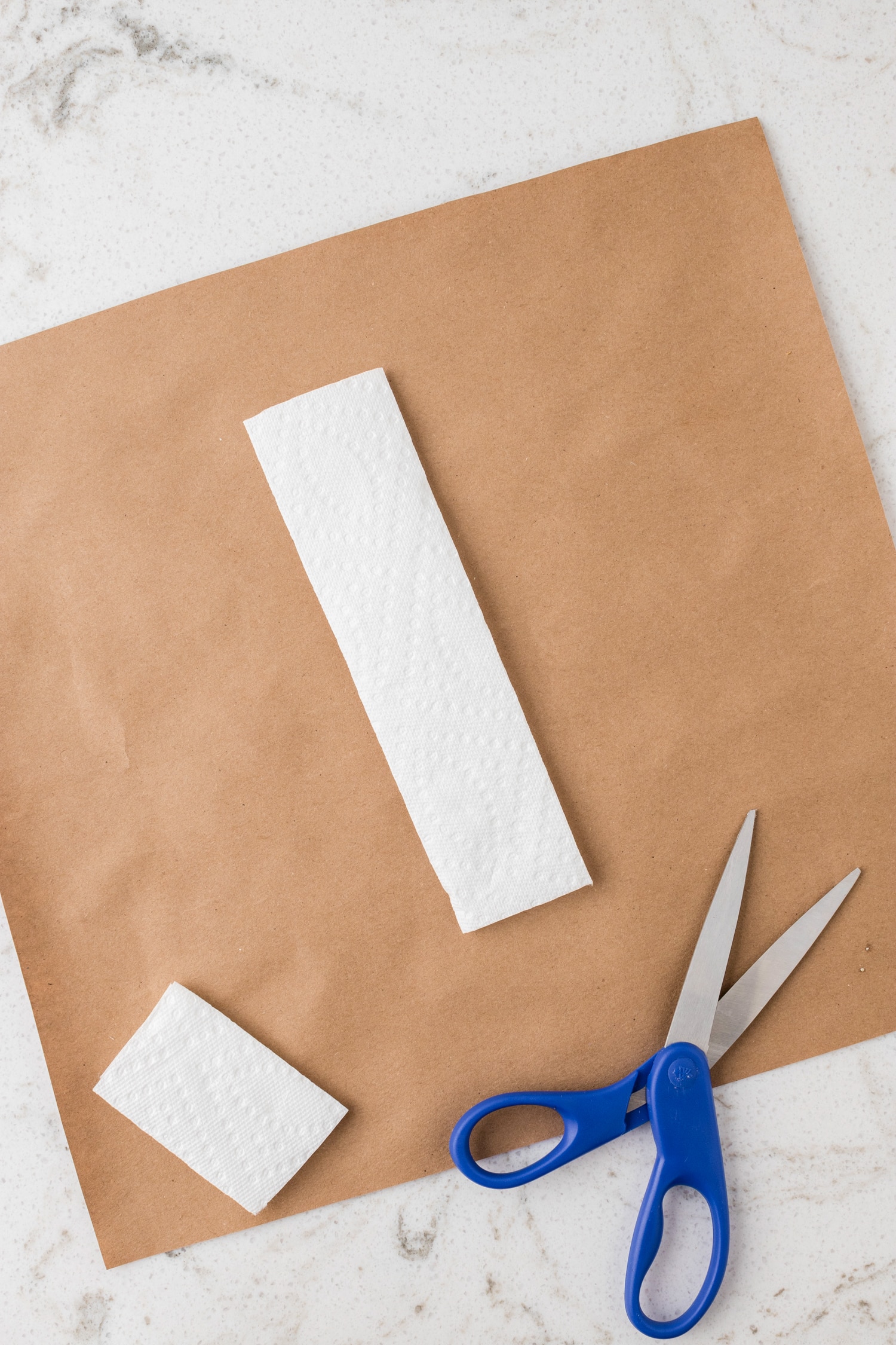 Trim the paper towel if neecessary.