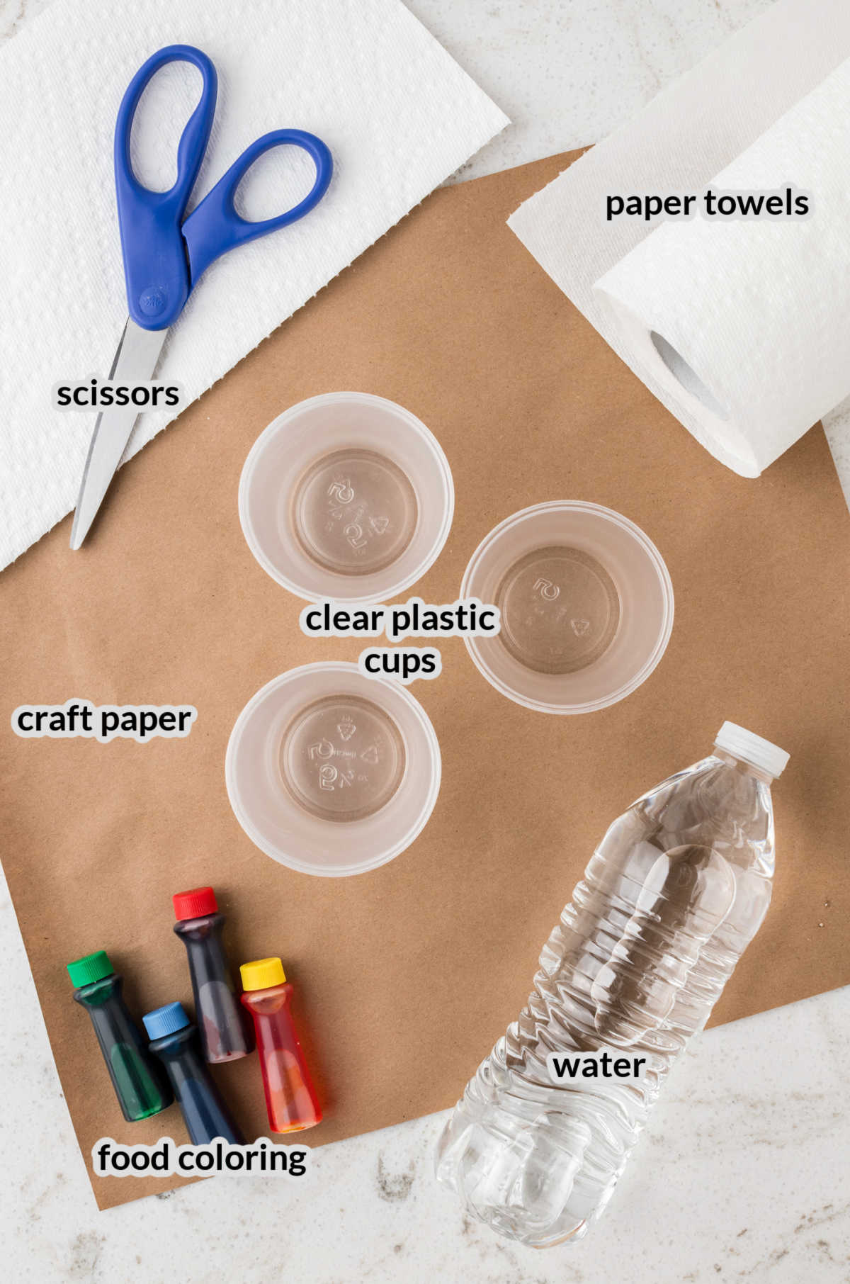 Overhead Image of the Walking Water Experiment Supplies