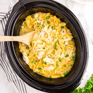 Overhead Square Image of Crock Pot Chicken and Noodles