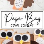 Paper Bag Owl Craft KAZ Pinterest