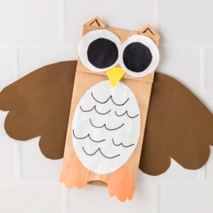 Overhead square image of Paper Bag Owl Craft Square