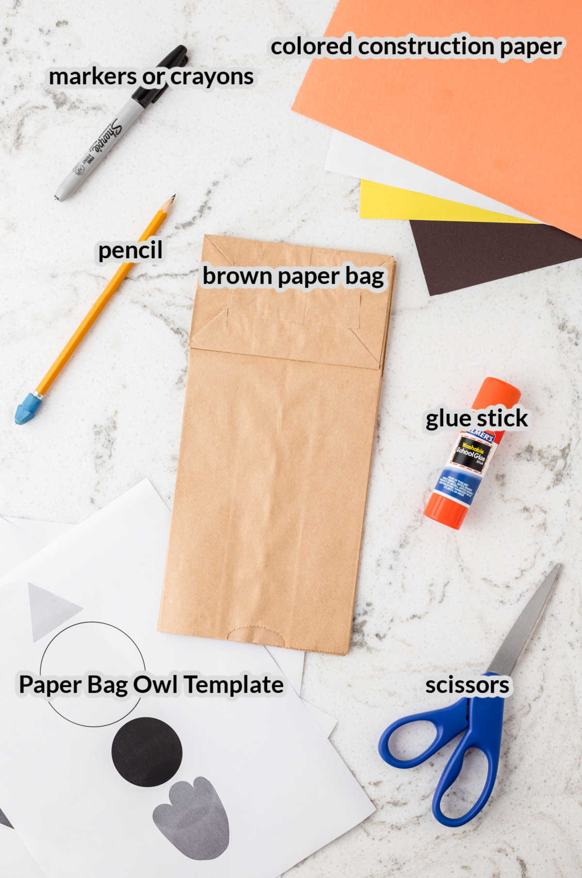 Overhead Image of Paper Bag Owl Craft Supplies