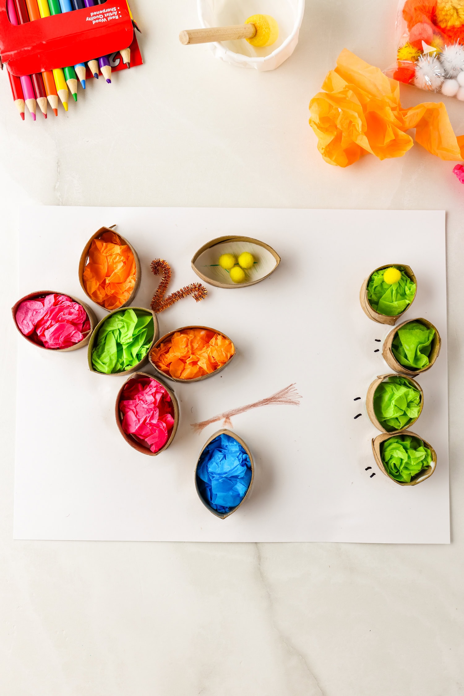 Filling the various toilet paper structures with wadded tissue paper pieces pressed into glue for Butterfly Life Cycle Craft