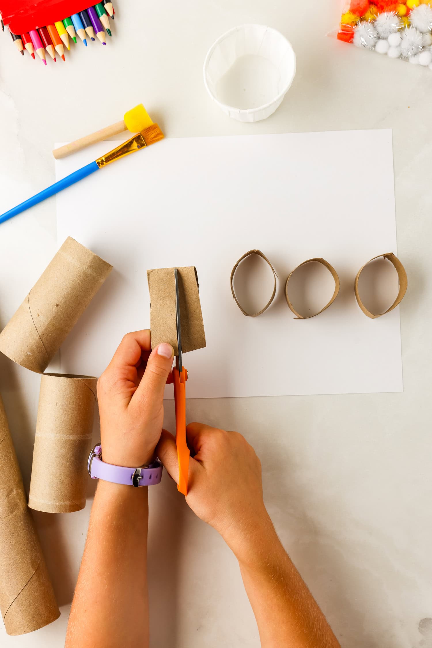 Cutting a toilet paper tube into circular pieces for Butterfly Life Cycle Craft