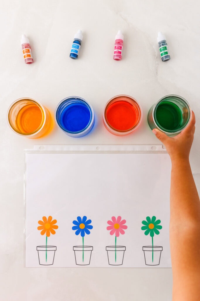 Filling the small glass jars with food coloring for the Color Matching Activity